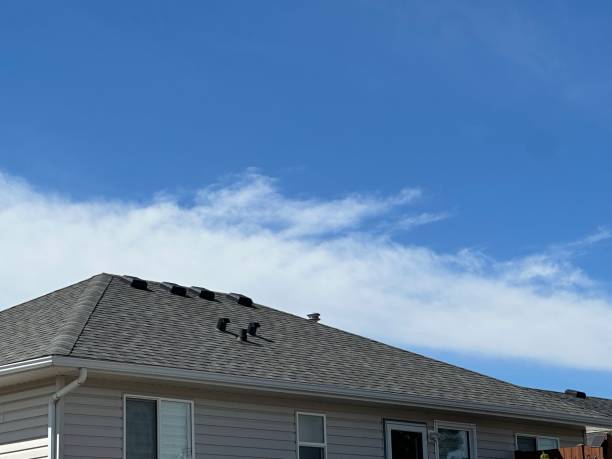 Best Asphalt Shingle Roofing  in South Amherst, OH